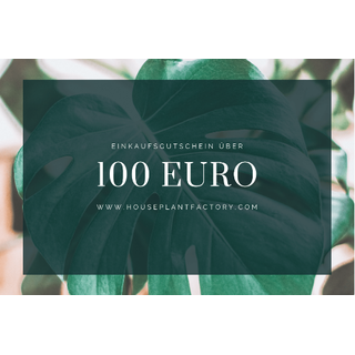 Voucher 100,00 EUR