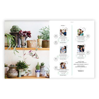 Urban Jungle - Wohnen in Grn: Dekorieren und stylen mit Pflanzen