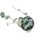 Ceropegia woodii ´String of Hearts` (Leuchterblume)