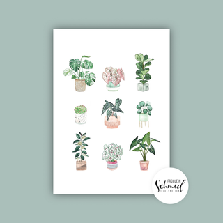 Postcard A6 potted plants no.1 by Frollein Schmid