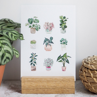Postcard A6 potted plants no.1 by Frollein Schmid
