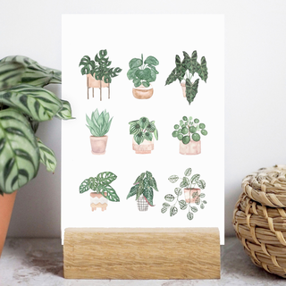 Postcard A6 potted plants no.2 by Frollein Schmid