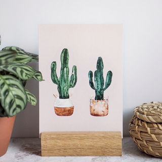 Postkarte A6 cacti by Frollein Schmid