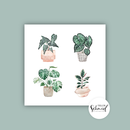 Postcard 148x148mm potted plants by Frollein Schmid