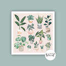 Poster 210x210mm potted plants by Frollein Schmid