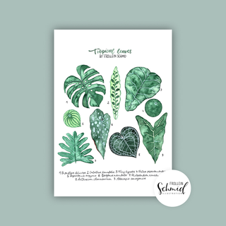 Poster A4 tropical leaves by Frollein Schmid