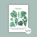 Artprint A4 tropical leaves by Frollein Schmid