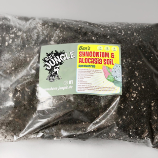 Ben`s Syngonium & Alocasia Soil